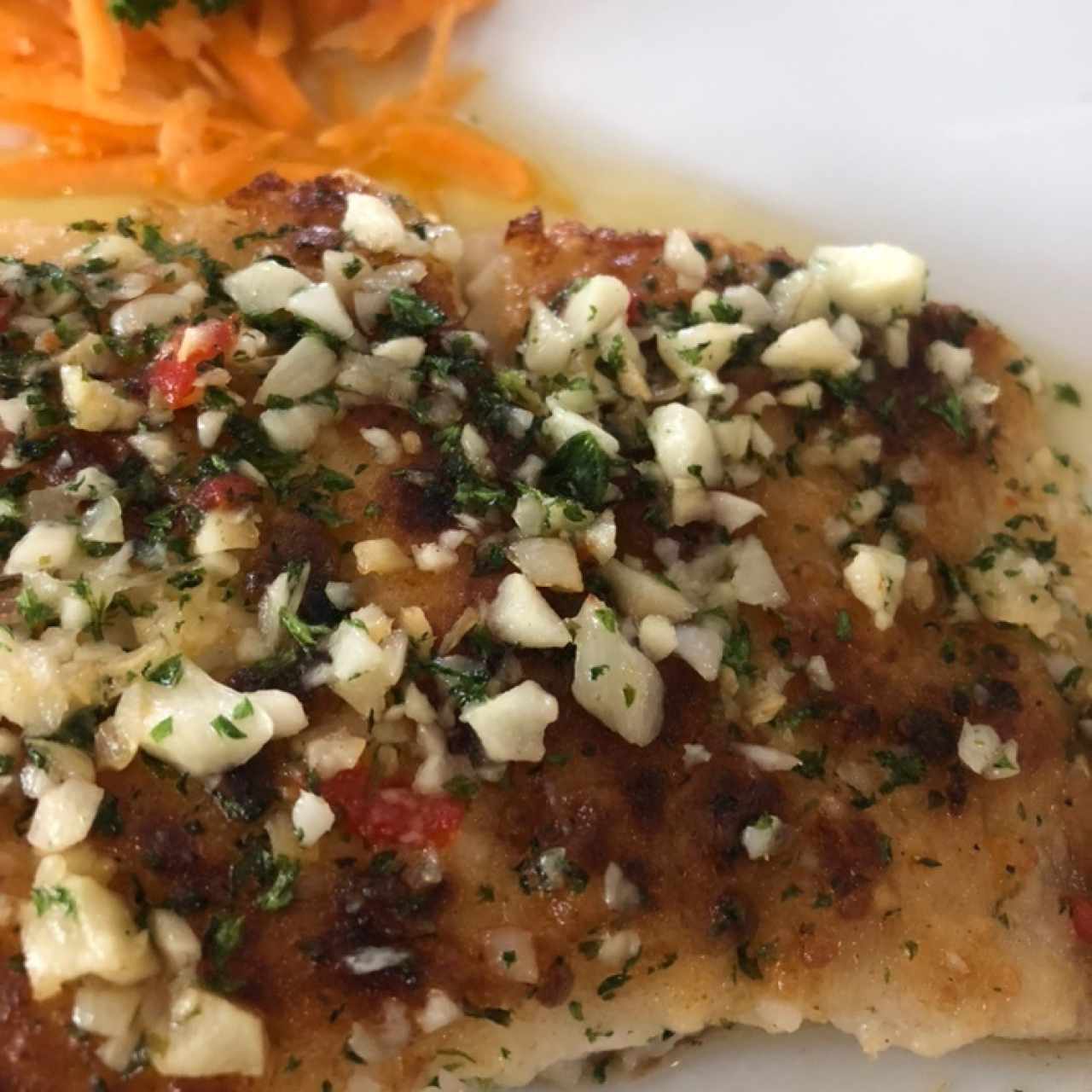 Corvina a la Pescatore al Olió