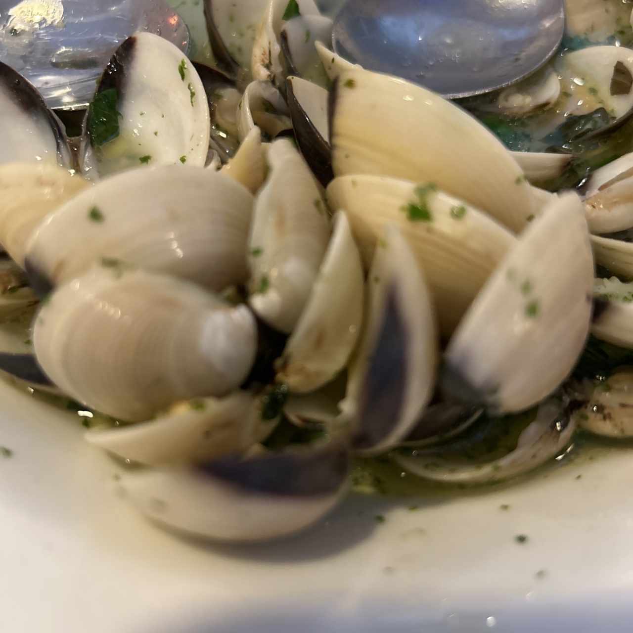 Almejas