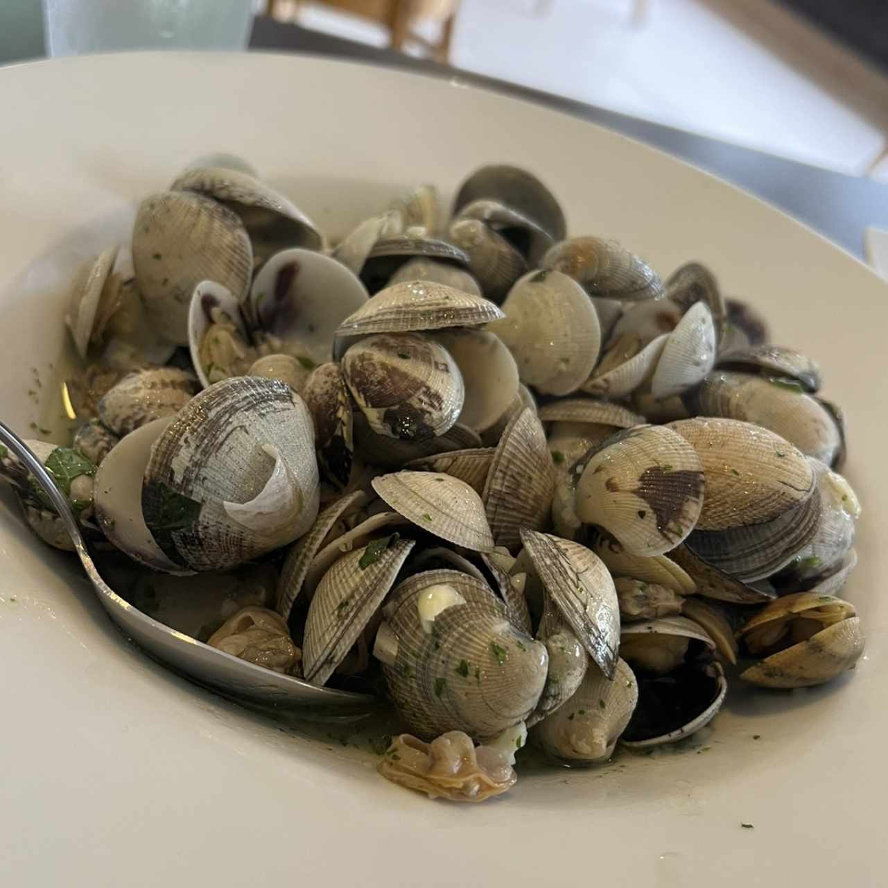 Almejas a la Genovesa en Su Concha