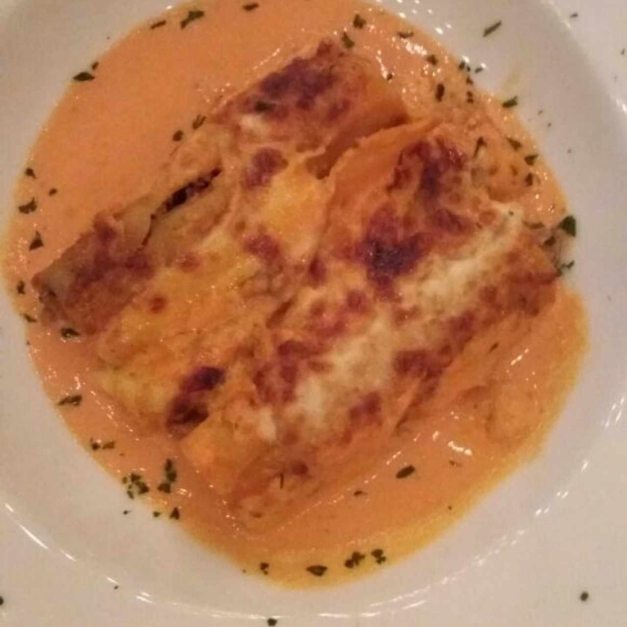 Canelones de carne