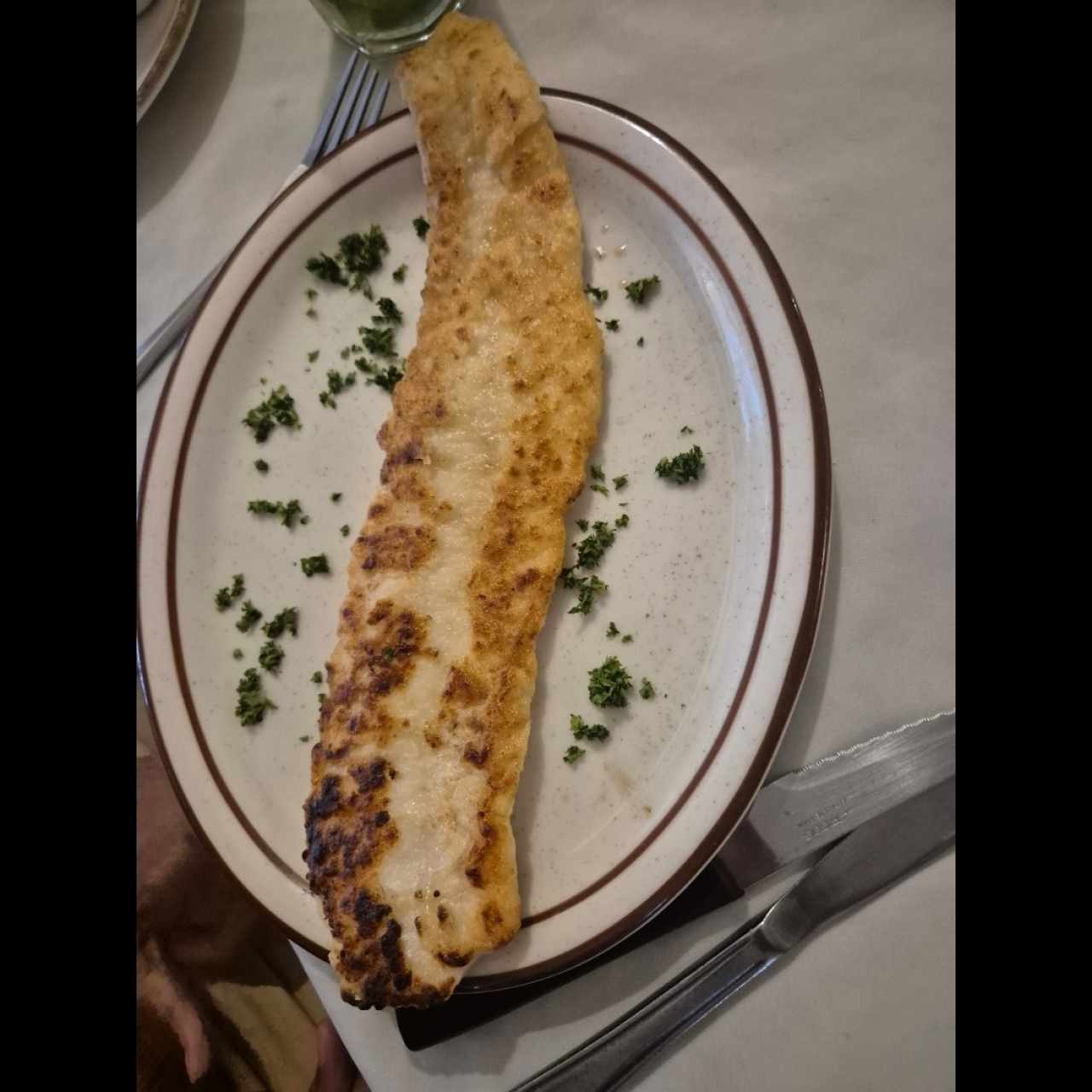 CORVINA A LA PLANCHA