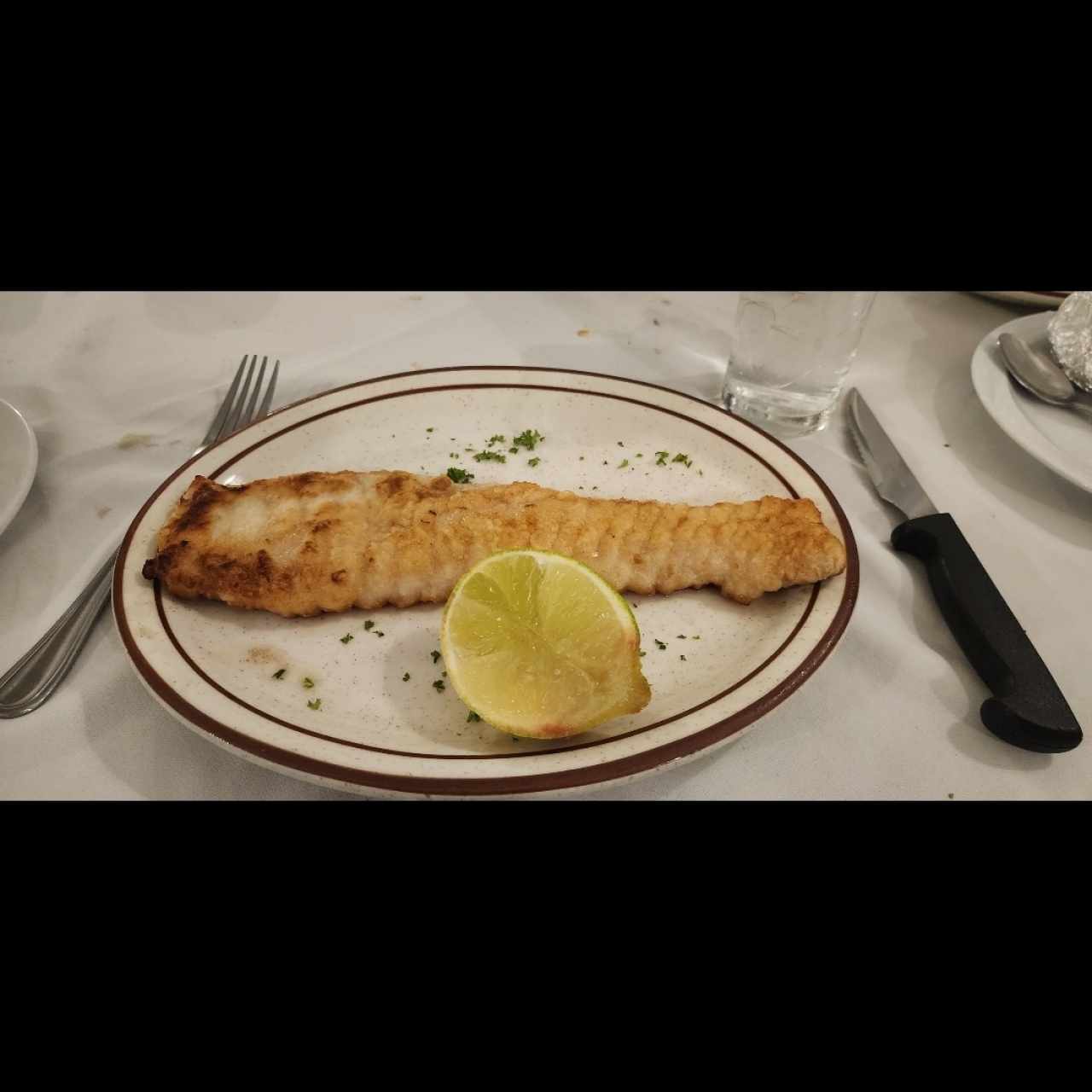 CORVINA APANADA