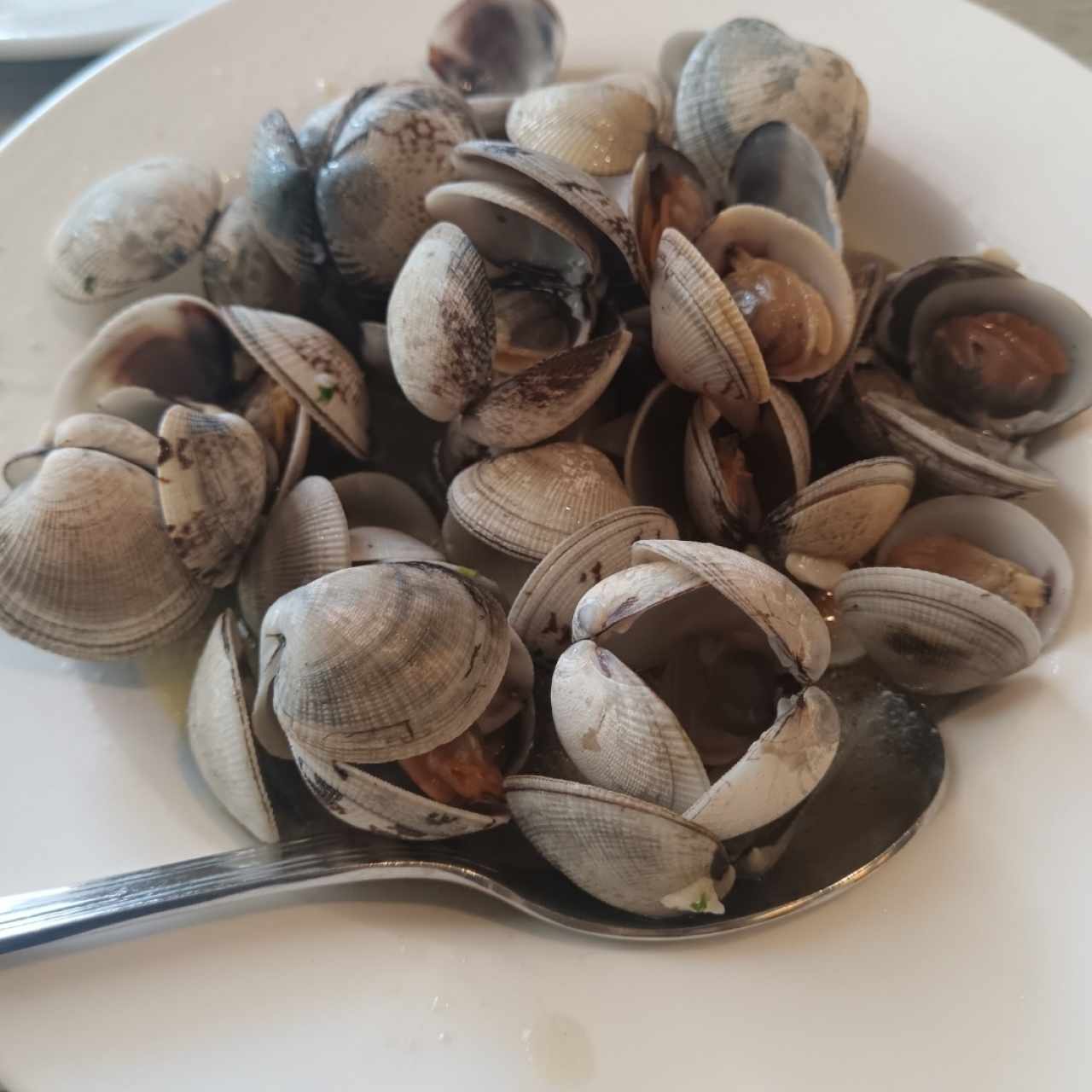 Almejas Genovesas al Ajillo