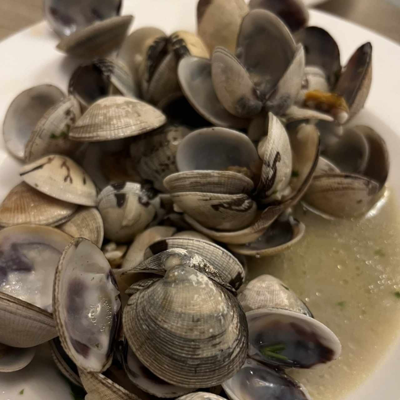 Almejas Genovesas al Ajillo
