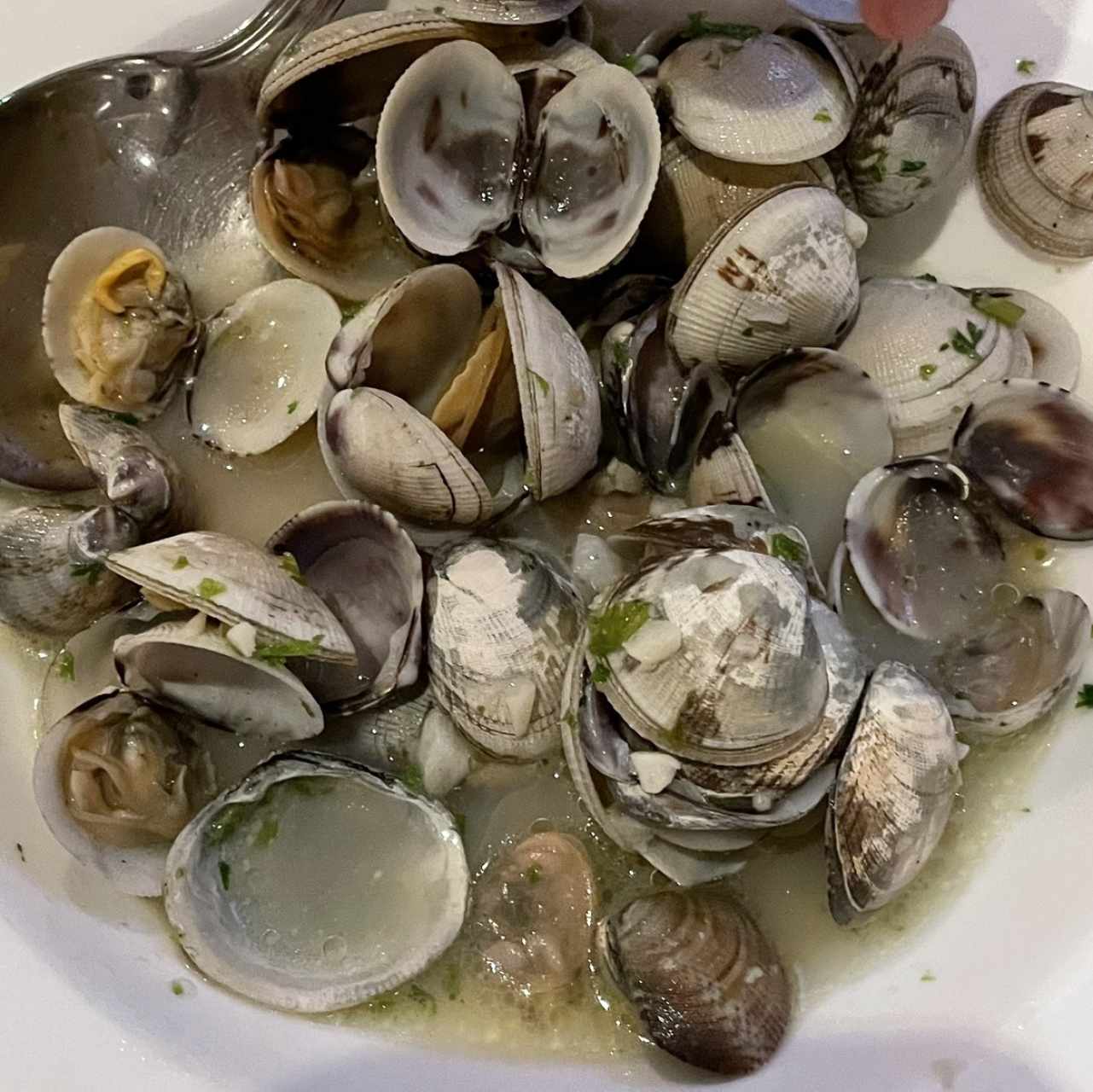 Almejas Genovesas al Ajillo