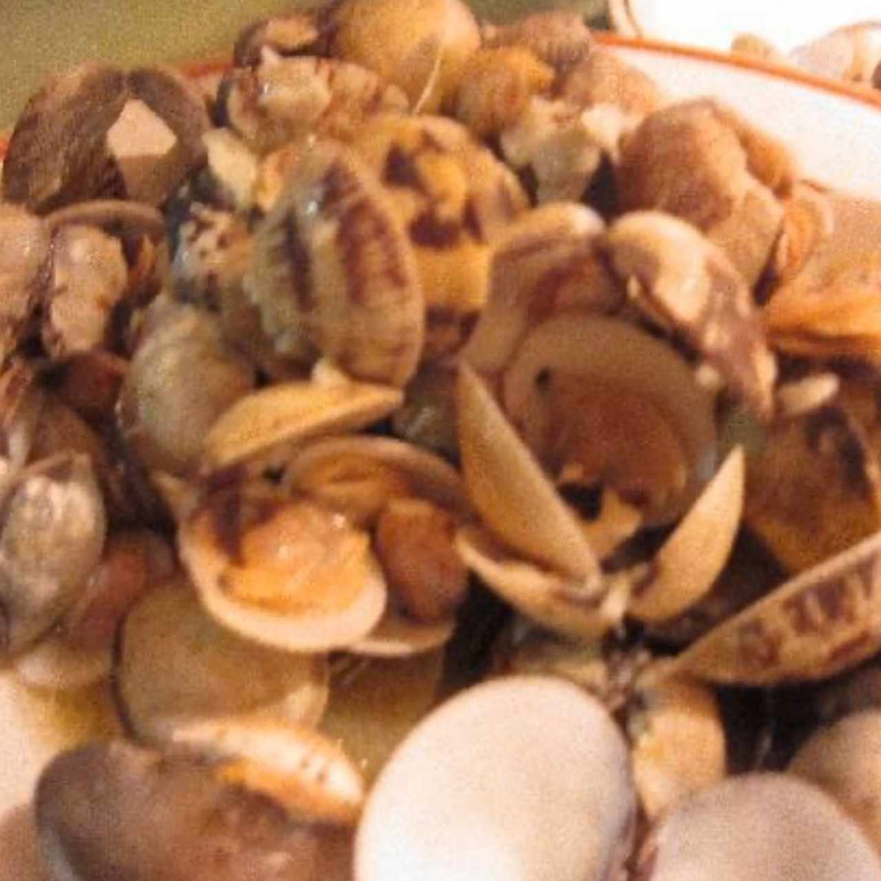 Almejas Genovesas