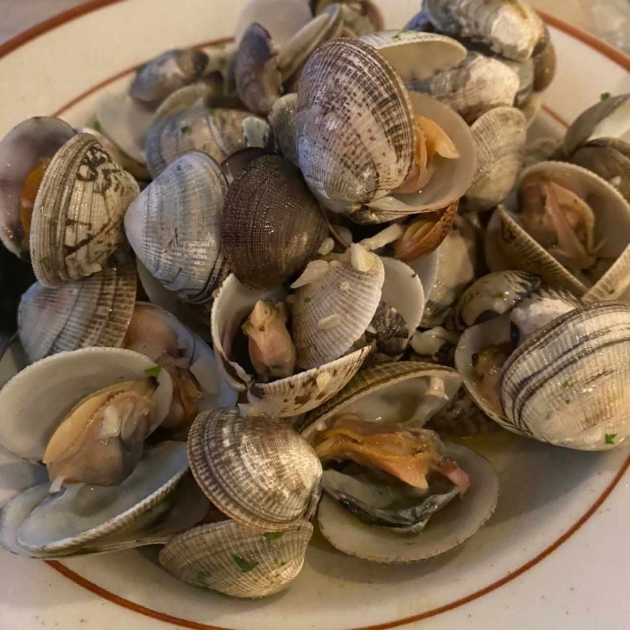 Almejas Genovesas al Ajillo