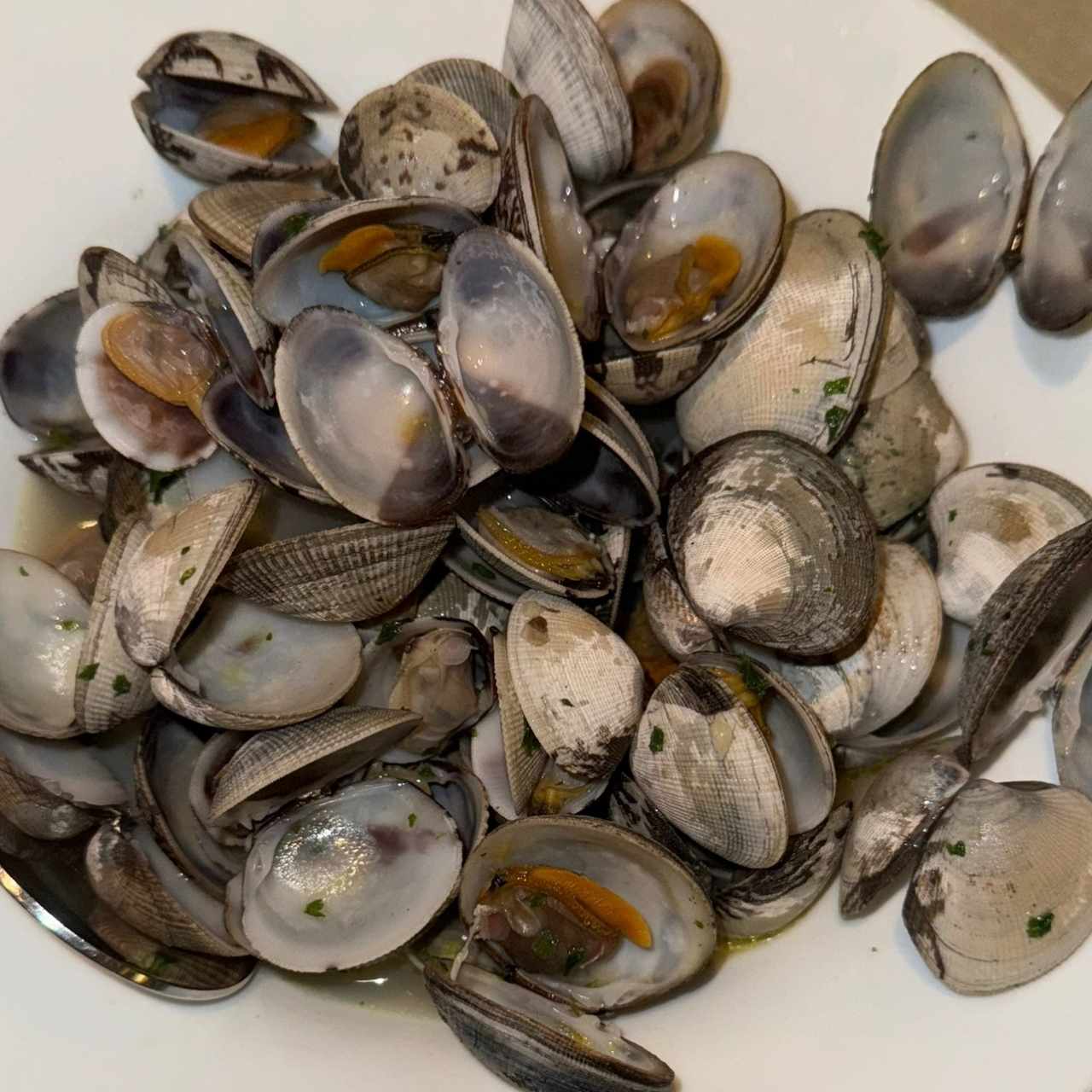 Almejas Genovesas al Ajillo