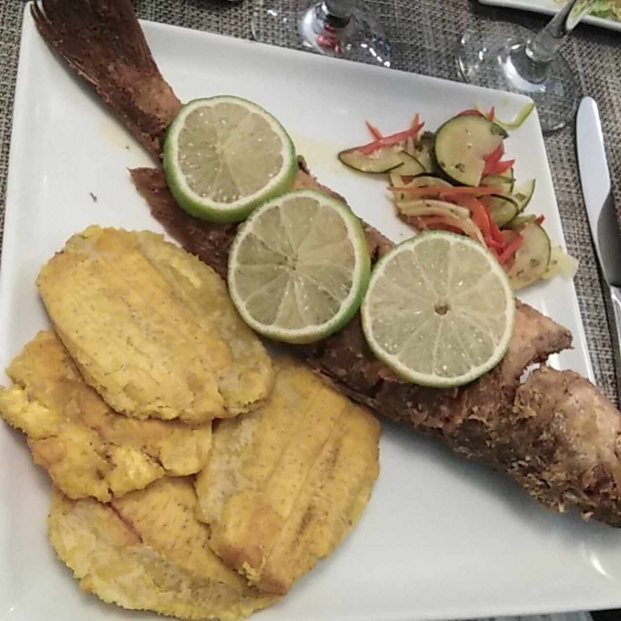 Corvina Cinta Costera