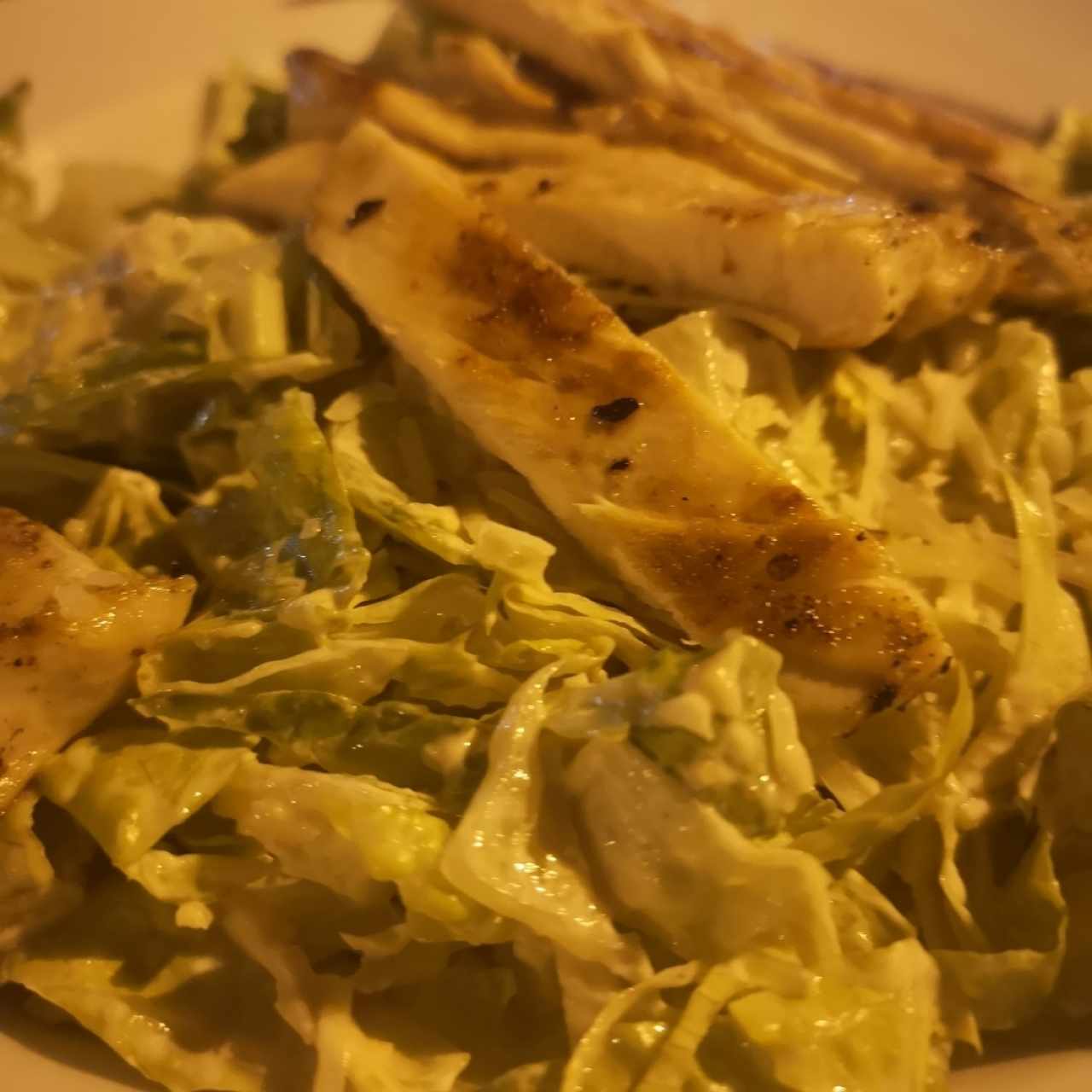 cesar salad