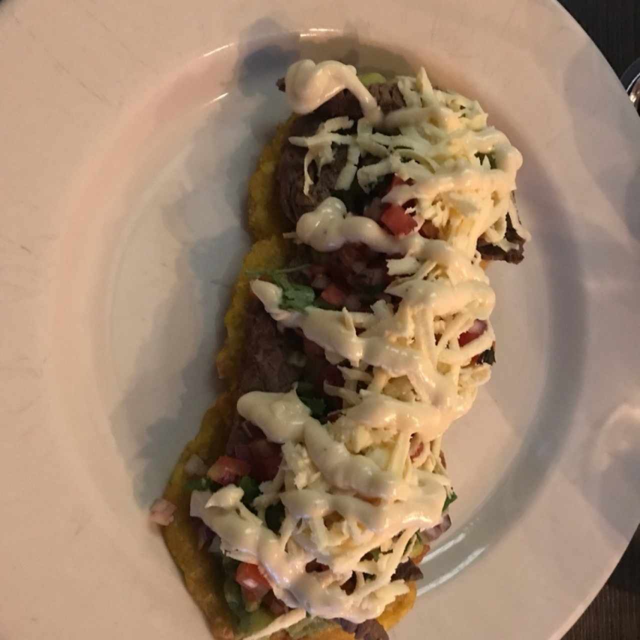 paton steak