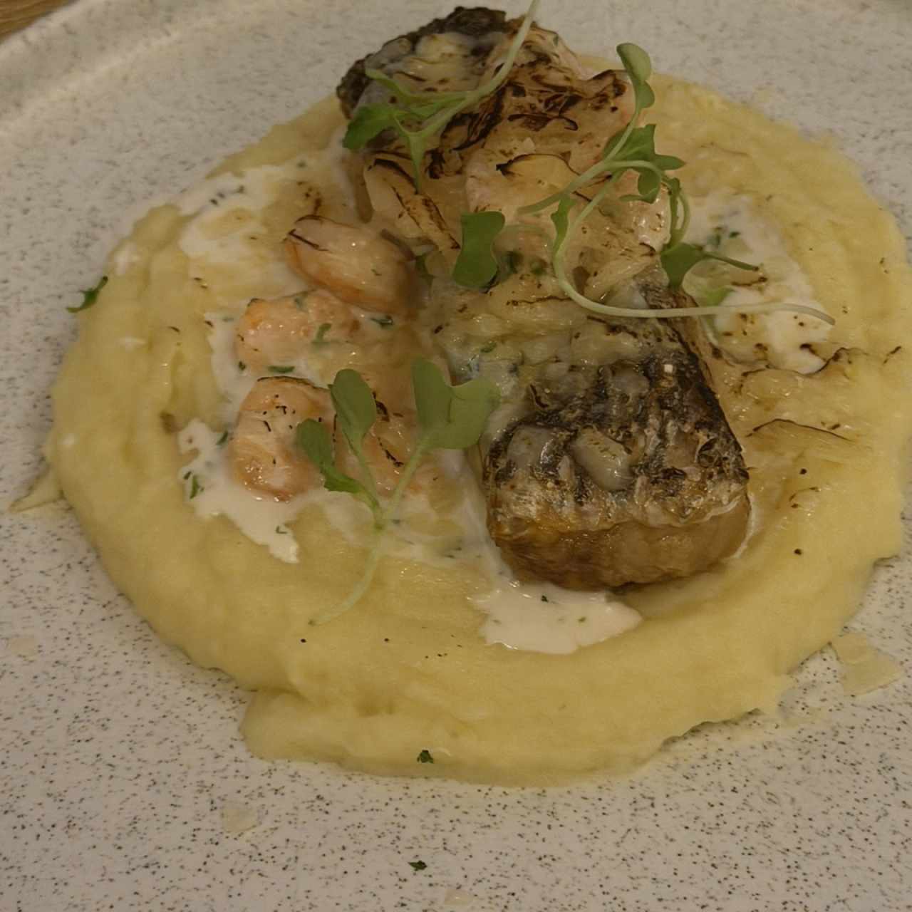 Róbalo al Graten con Camarones