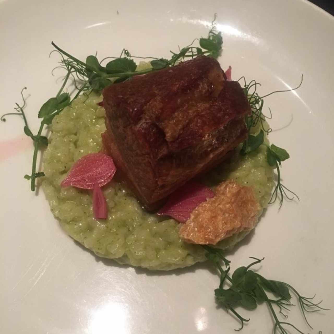 Panceta sobre una cama de risotto