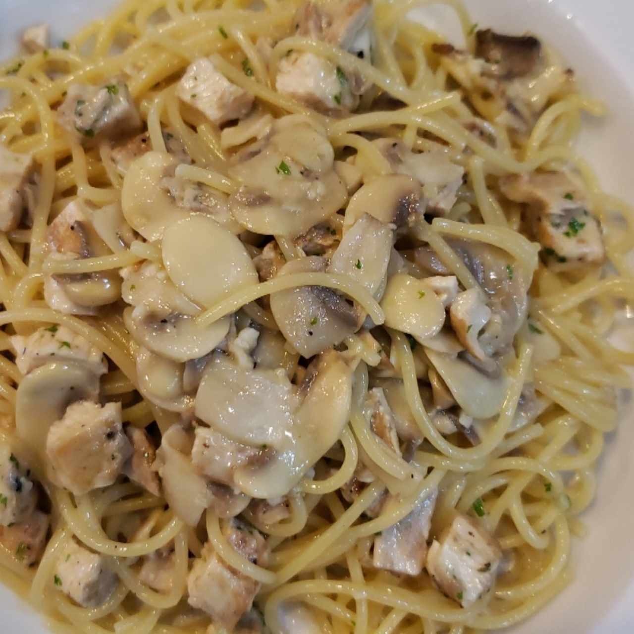 pasta con pollo y hongos al óleo 