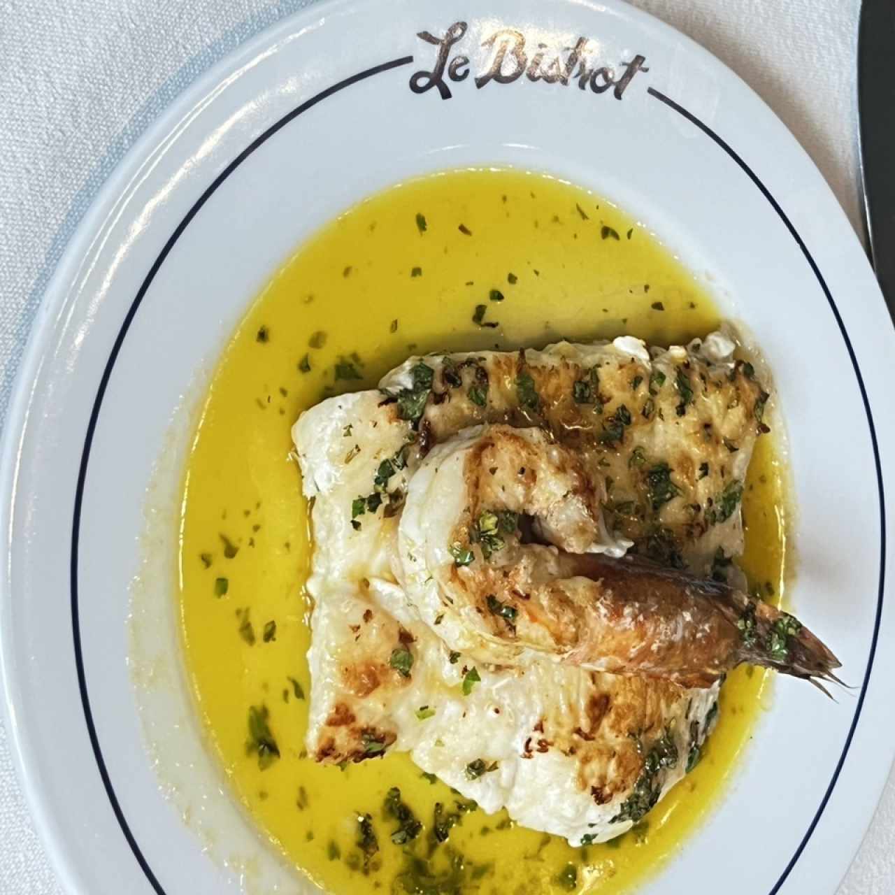 Corvina