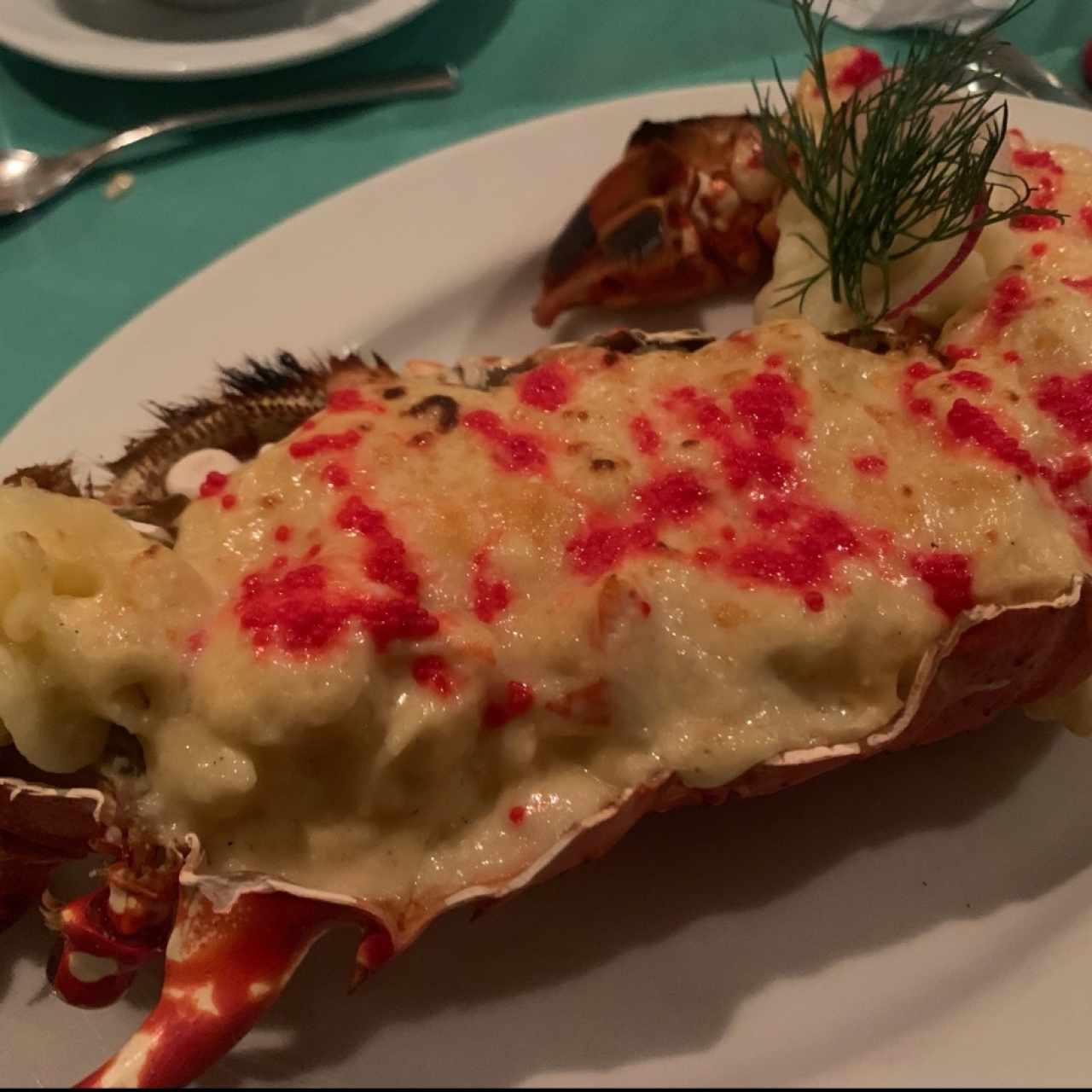 MARISCOS - LANGOSTA MONSEÑOR LABOA