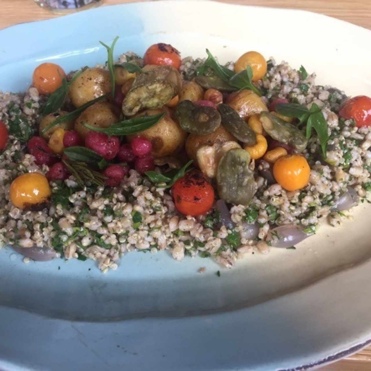 Tabule Andino