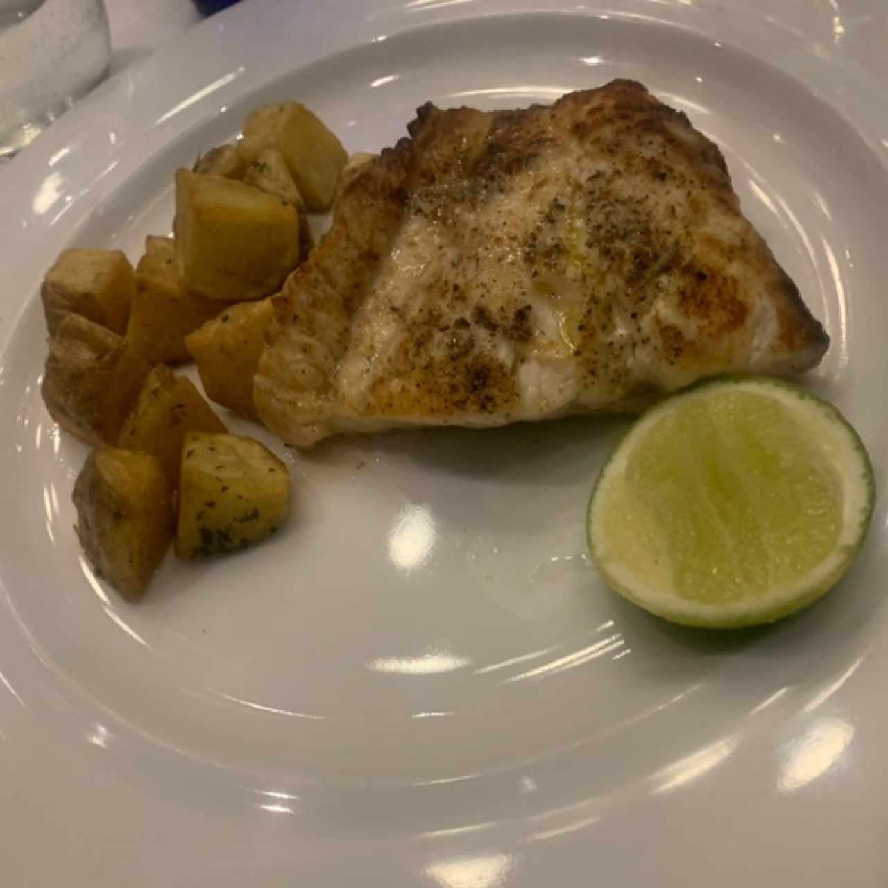 Corbina