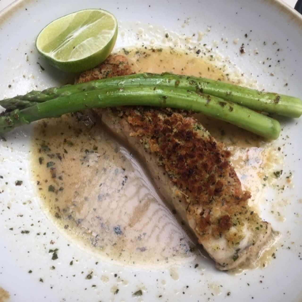 Pesca del día