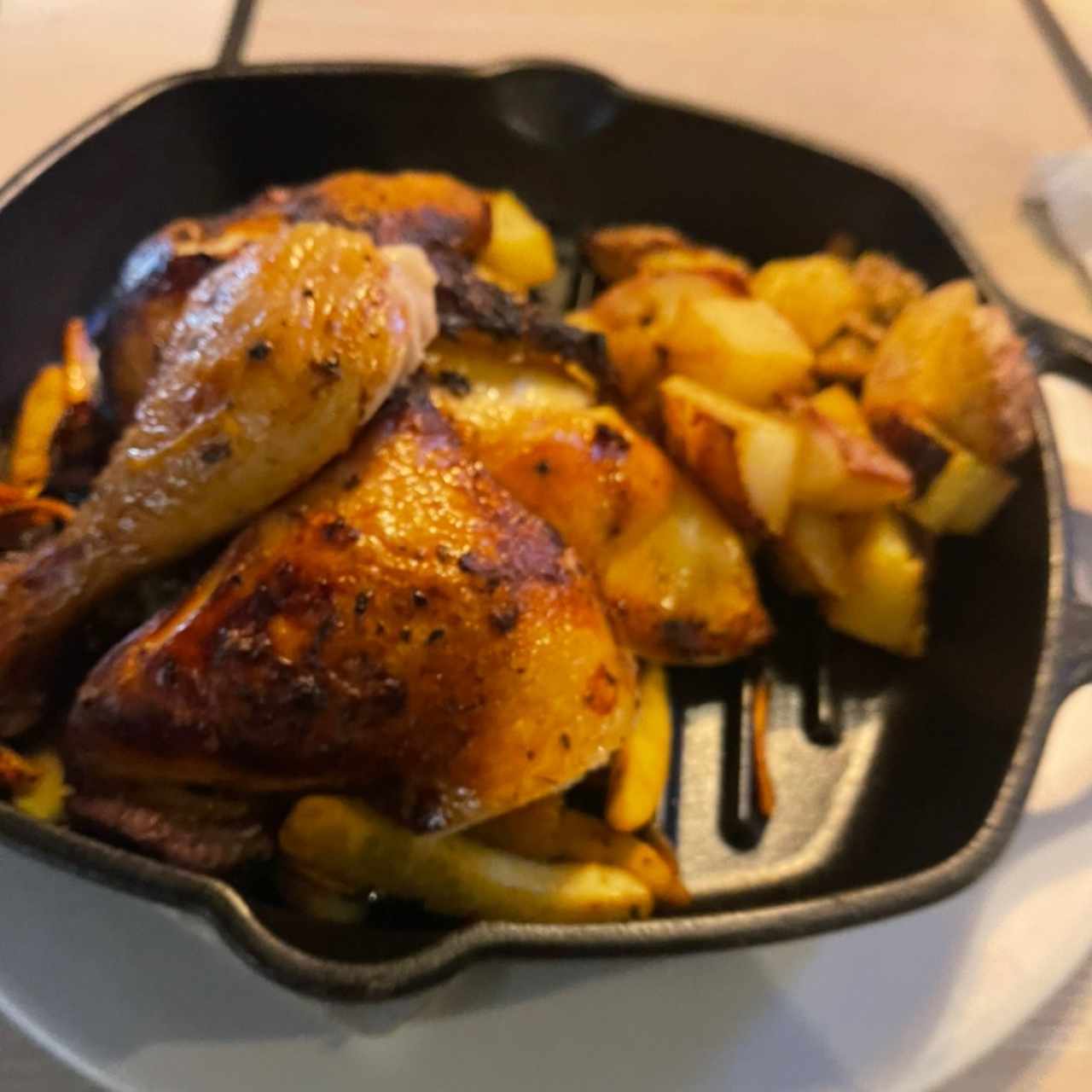 Pollo