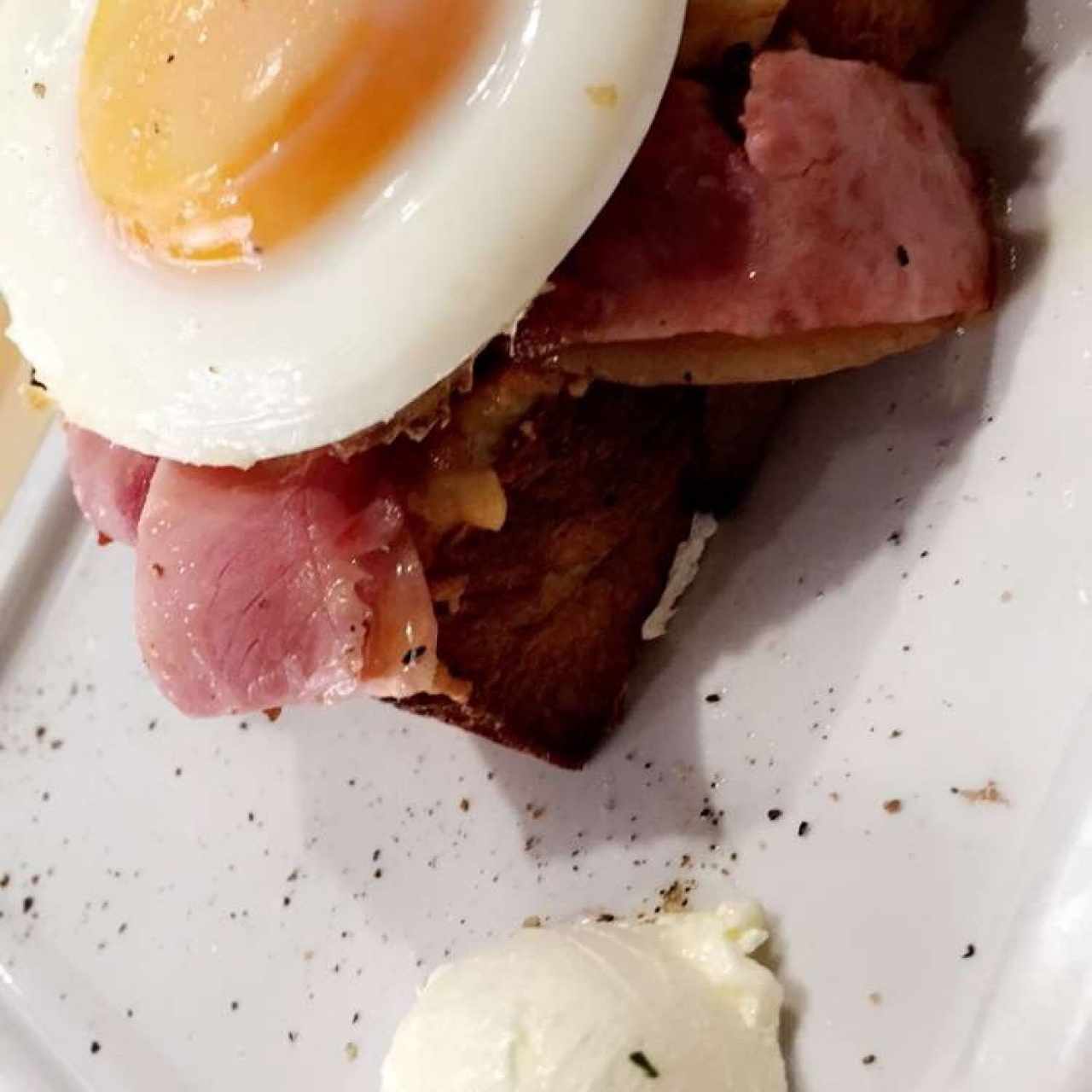 pato casero