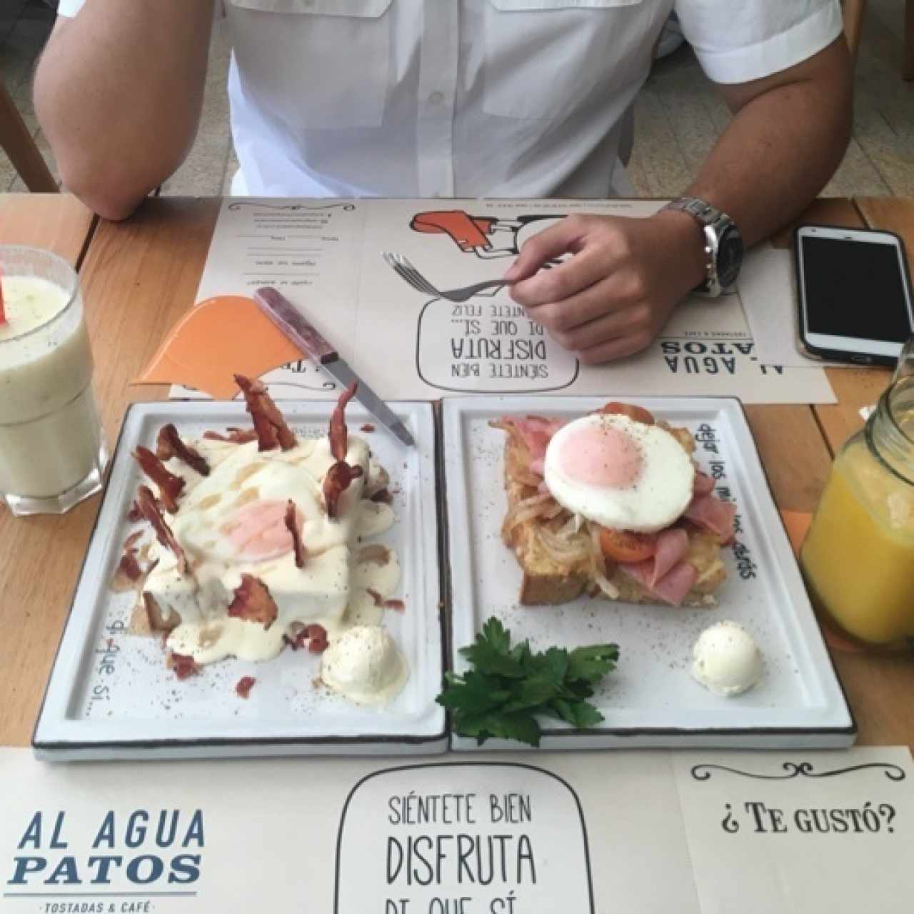 Pato, batido y jugo