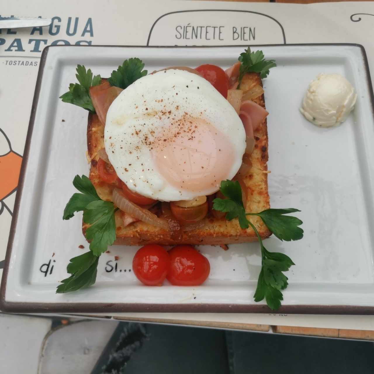 Pato casero 