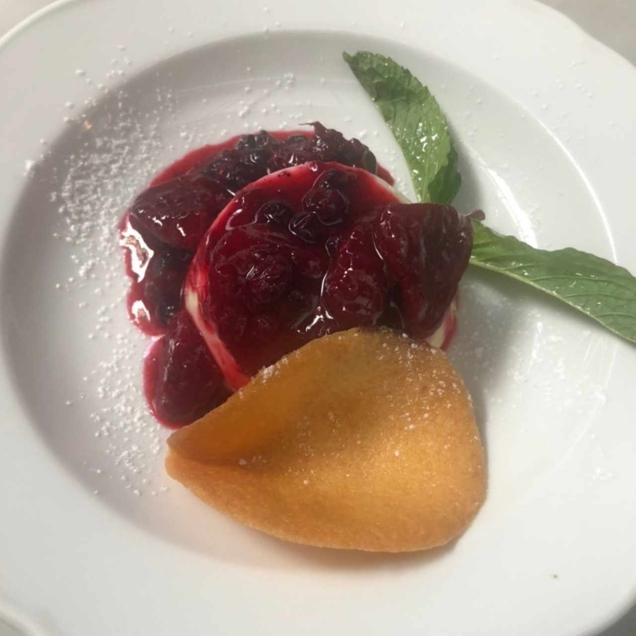 panacotta
