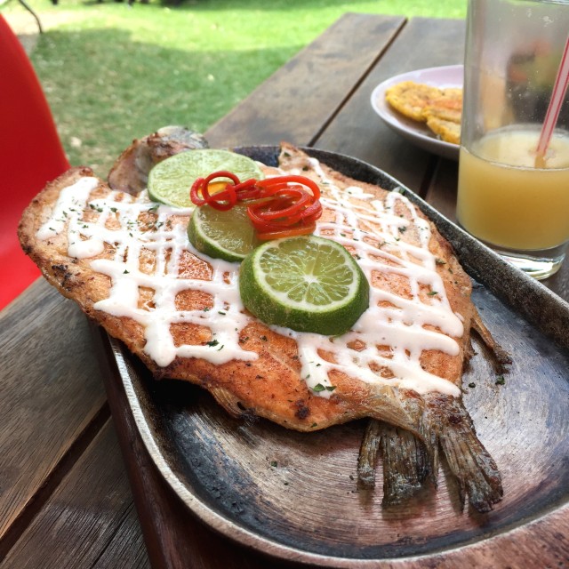 Trucha al ajillo