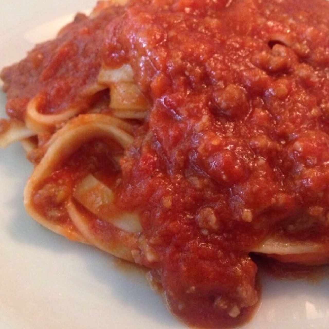 Bolognesa