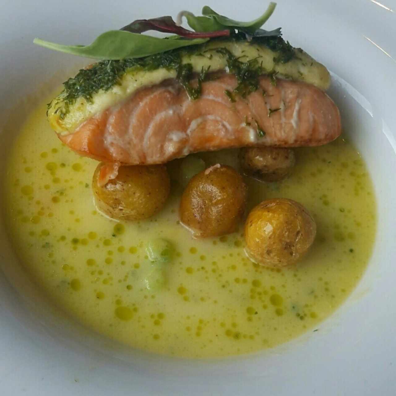 Salmón con ricotta
