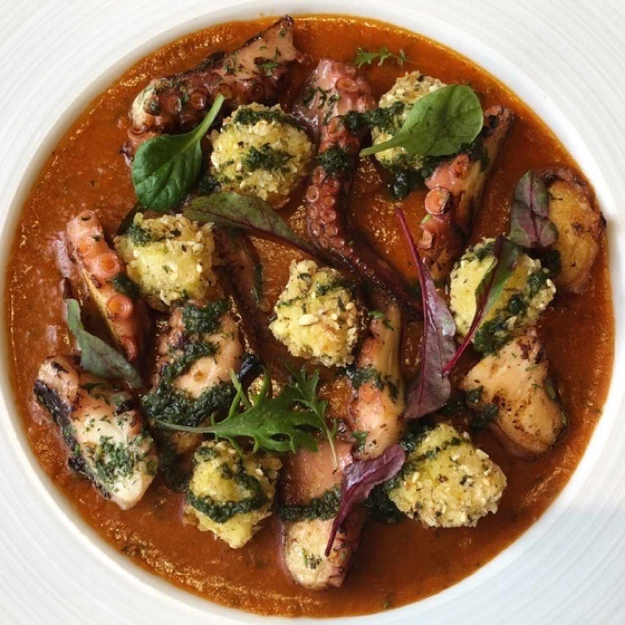 Pulpo