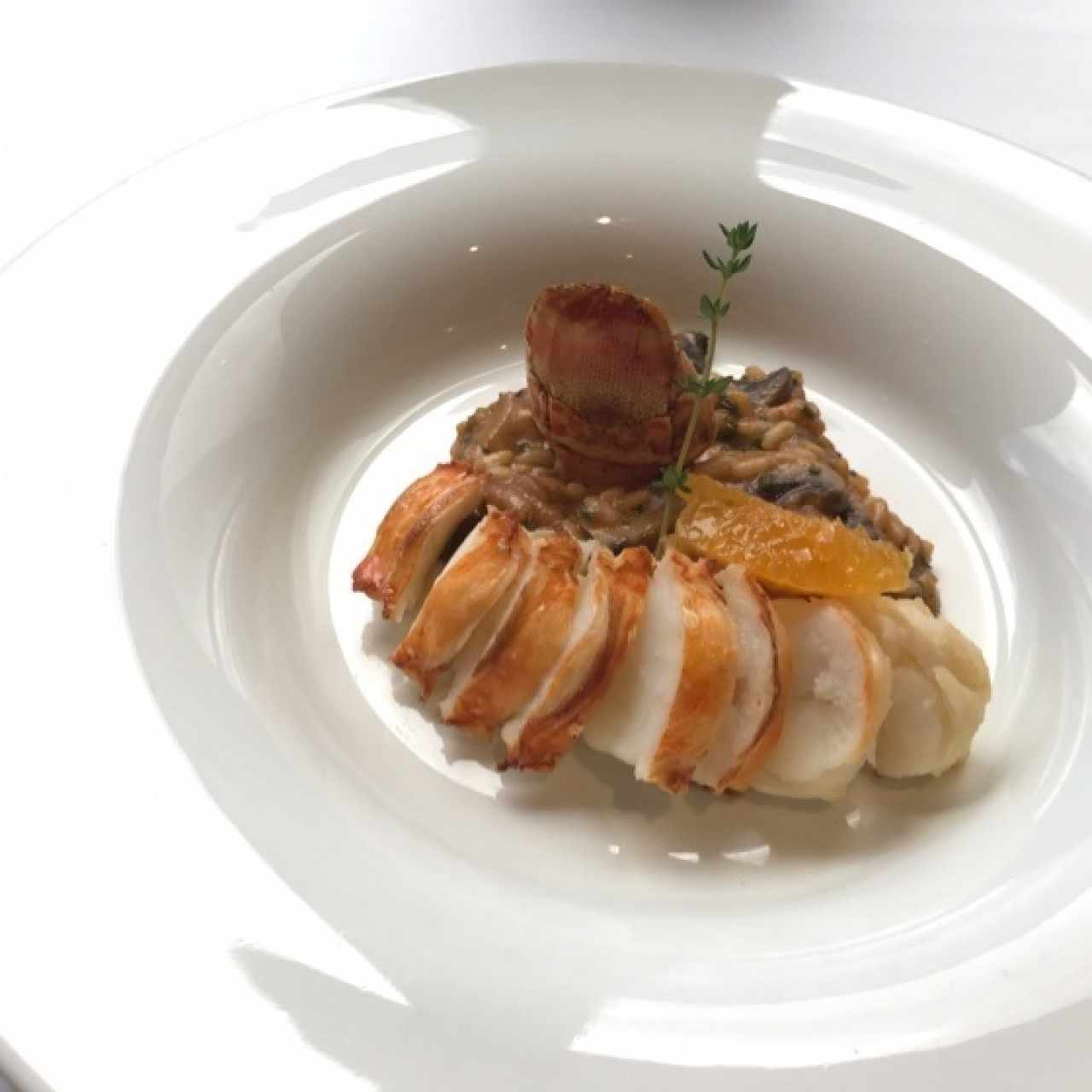 Risotto de Langosta