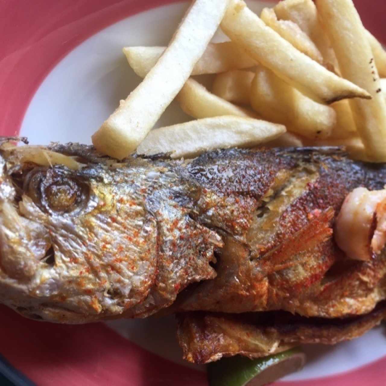Corvina
