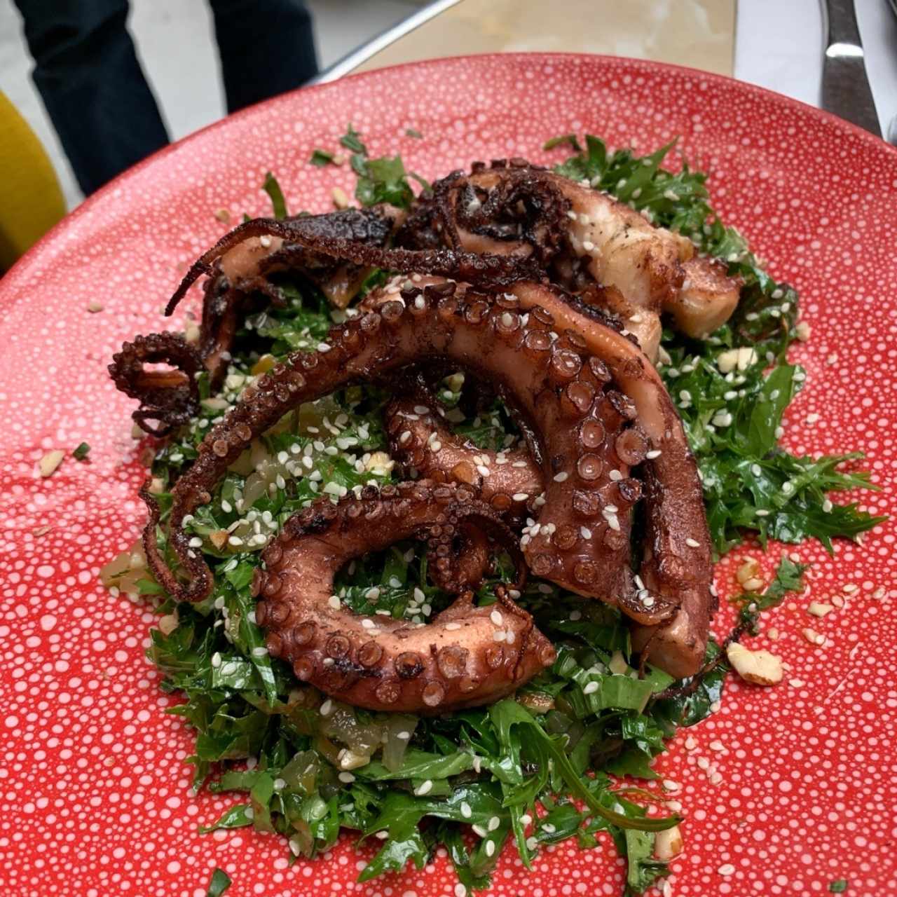 pulpo 