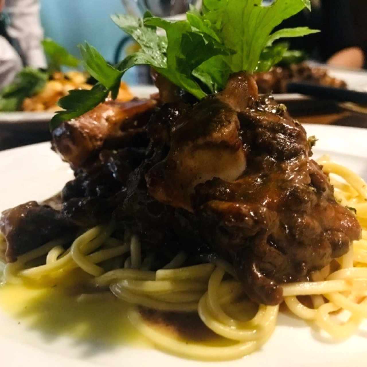 Rabo de toro 