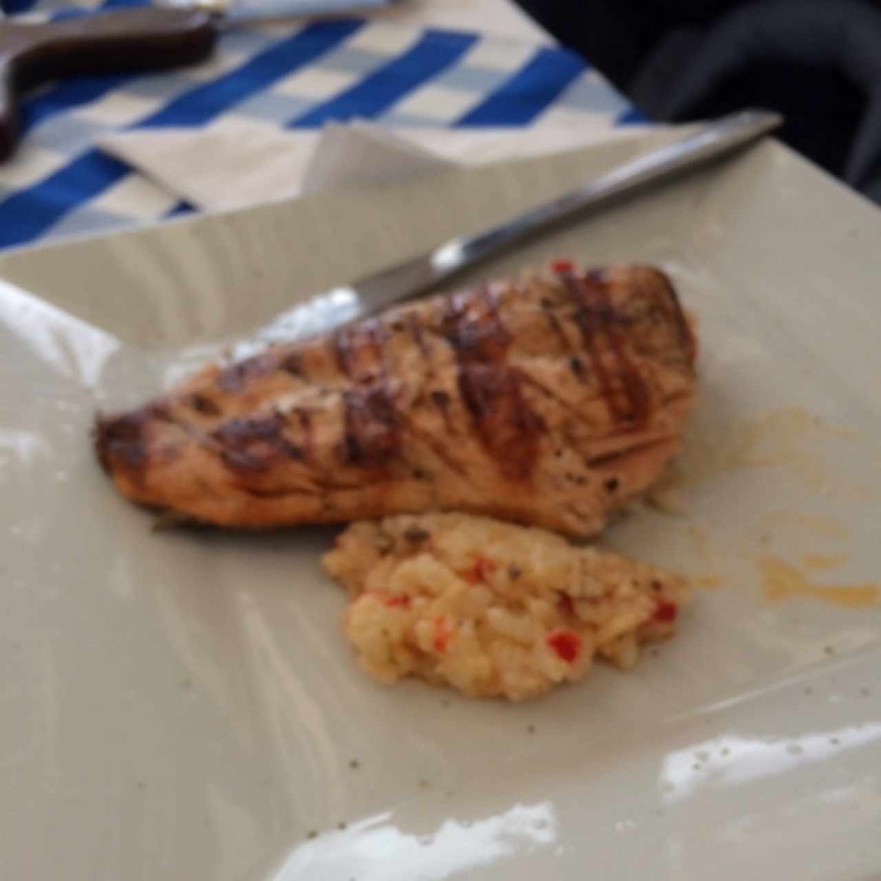salmon 