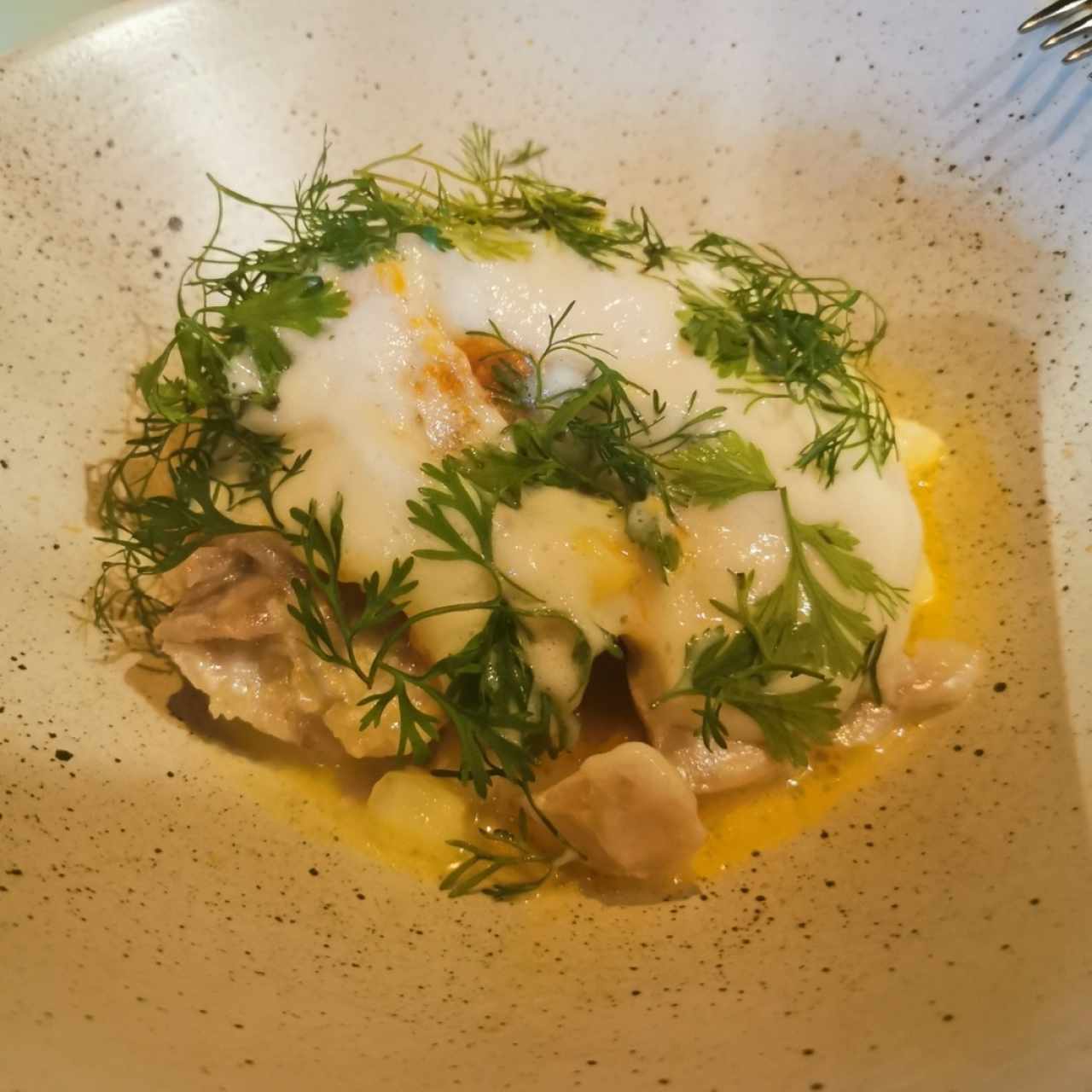 Pescado del día! con yuca, arracha, hogao y espuma de coco.