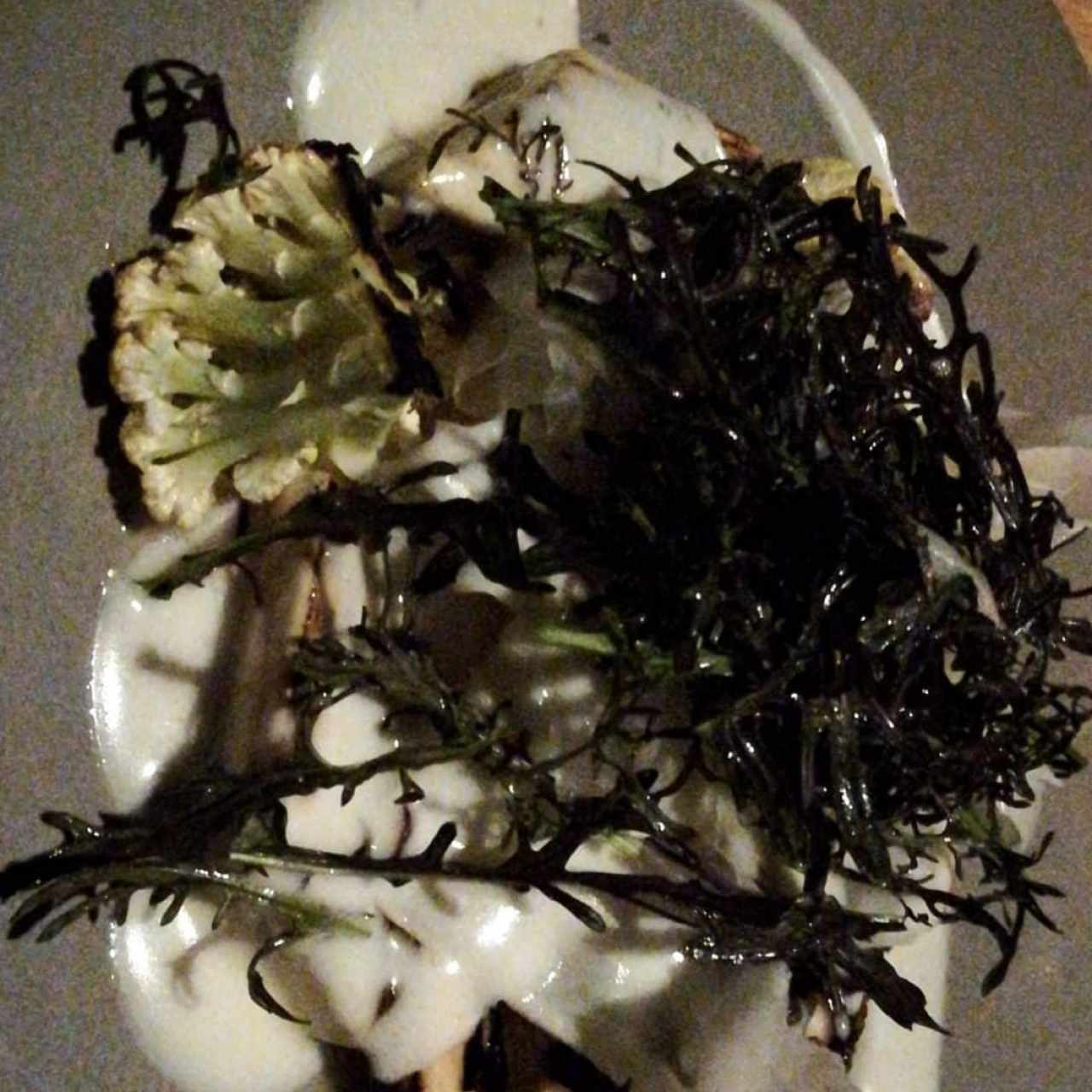 pescado del pacifico