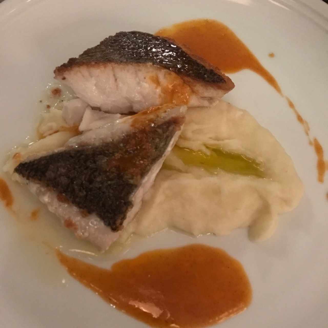 Pesca del dia- pargo 
