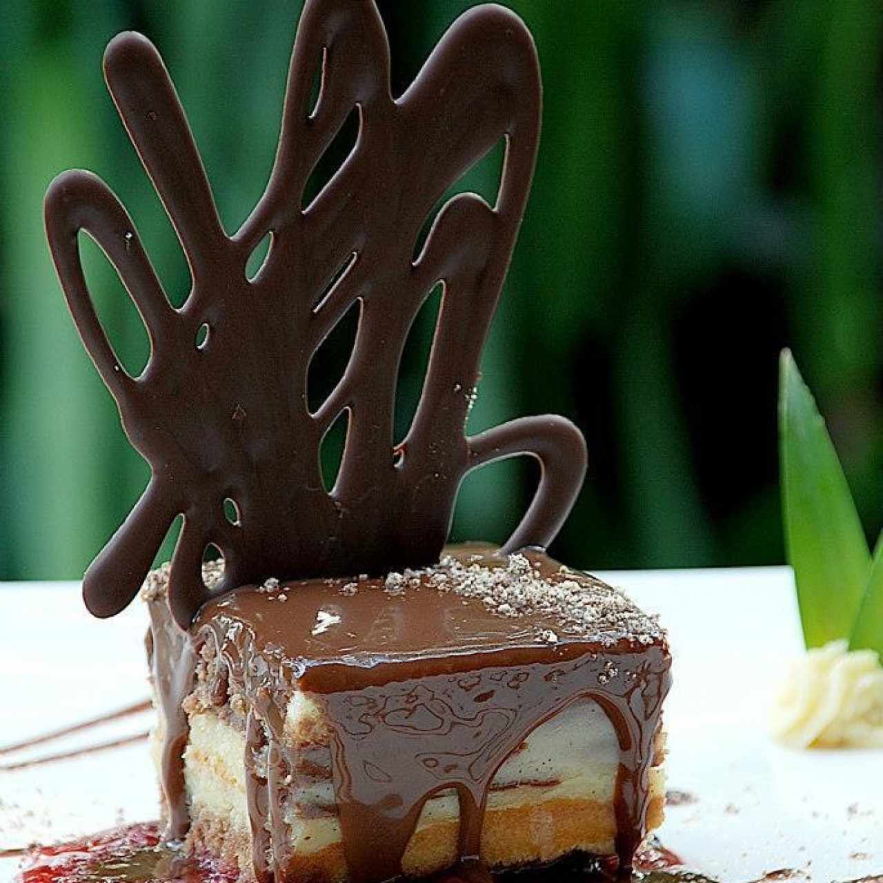 Opereta de Chocolate