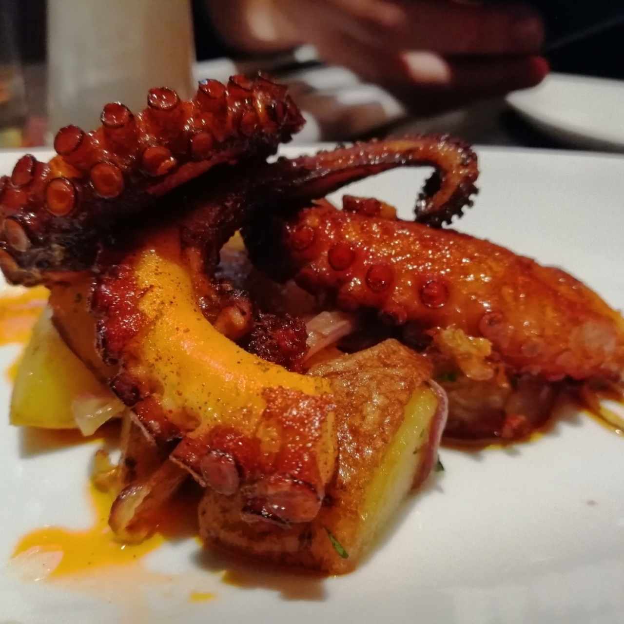 pulpo de la casa