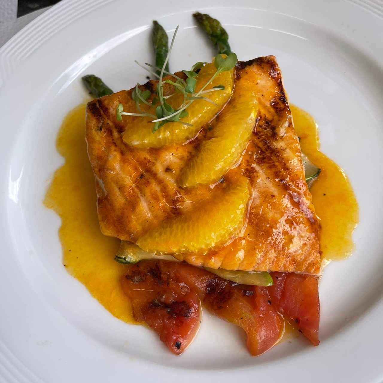 salmon