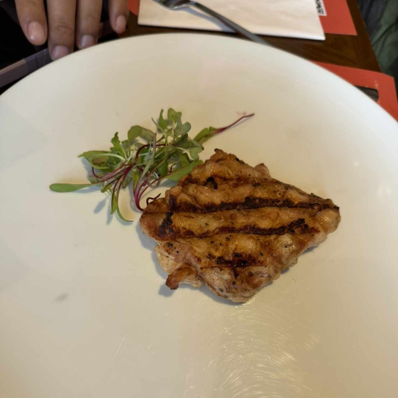 Pollo