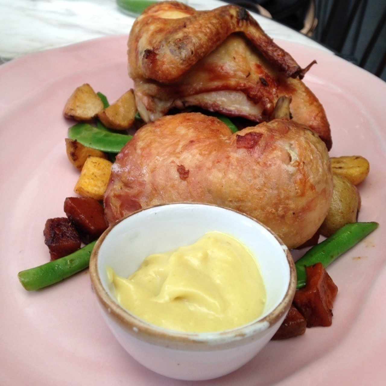 Pollo