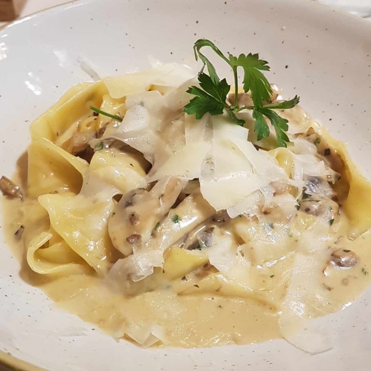 pappardelle al funghi