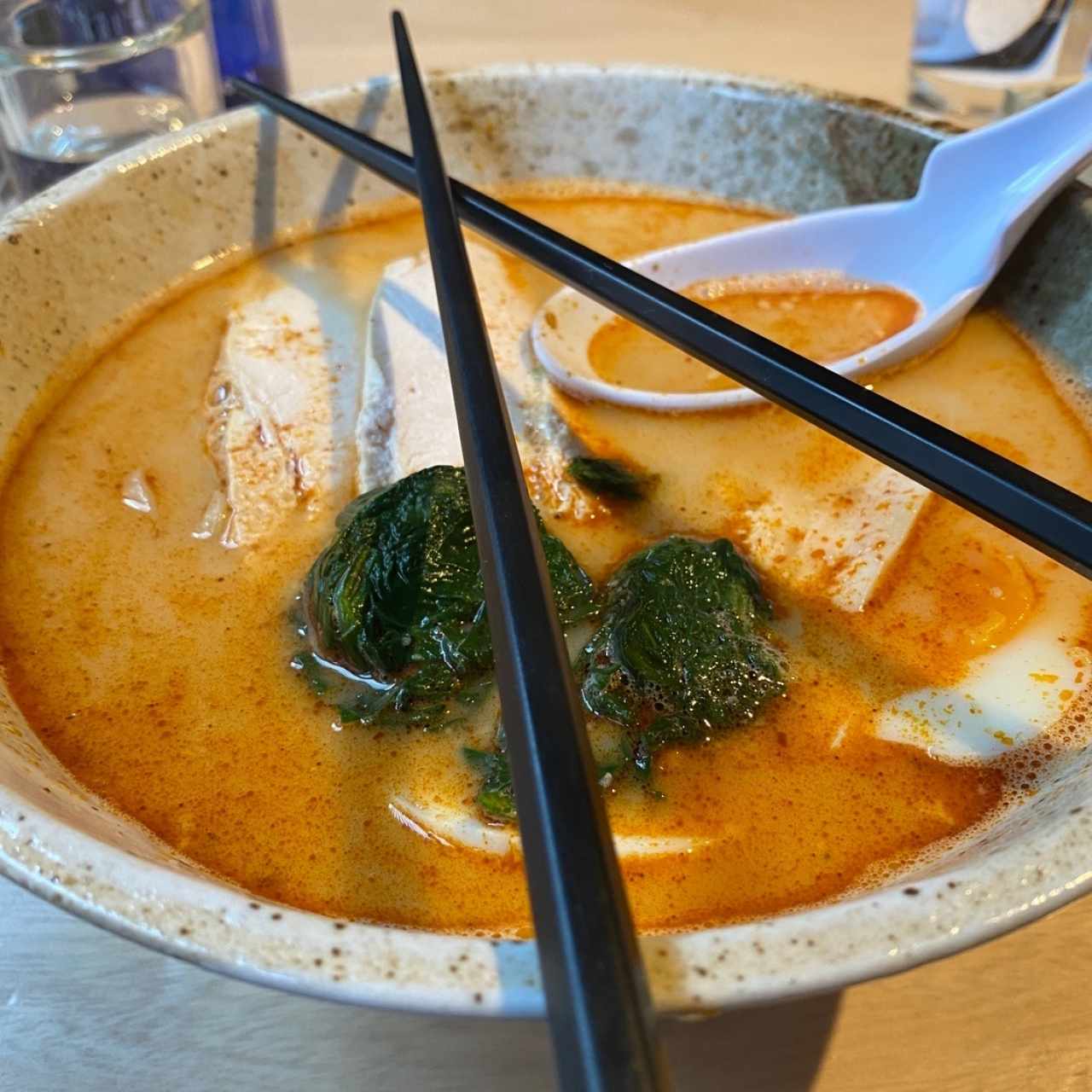 Spicy Toripaitan