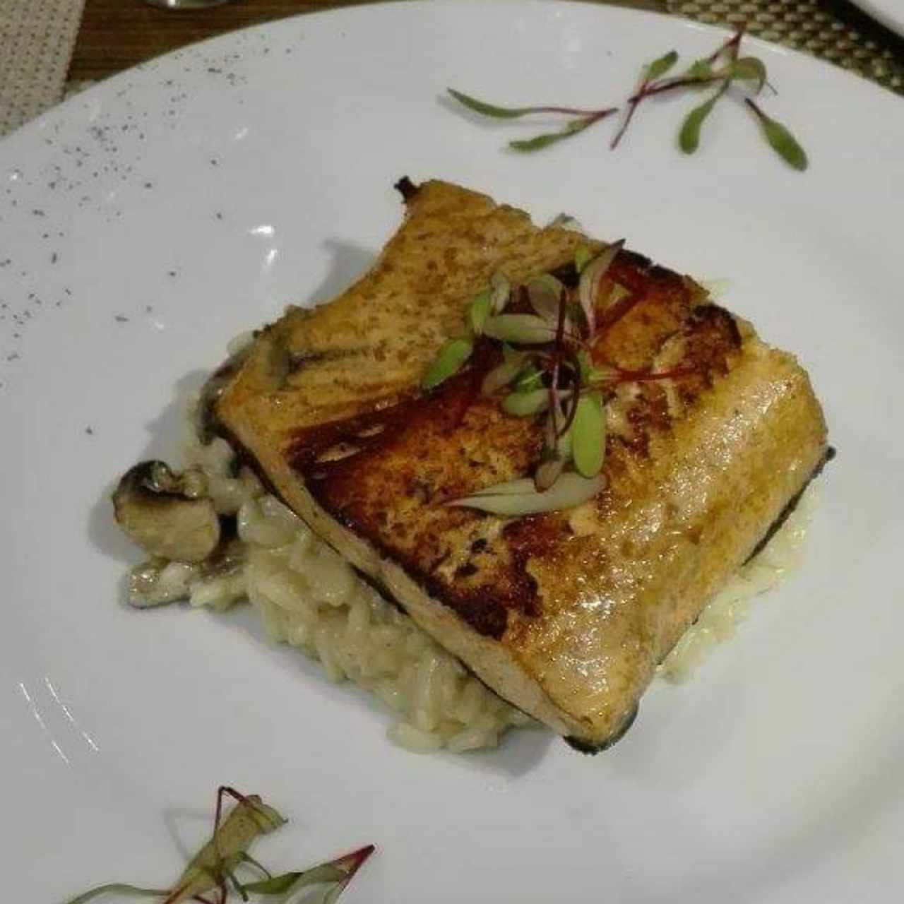 Salmón 