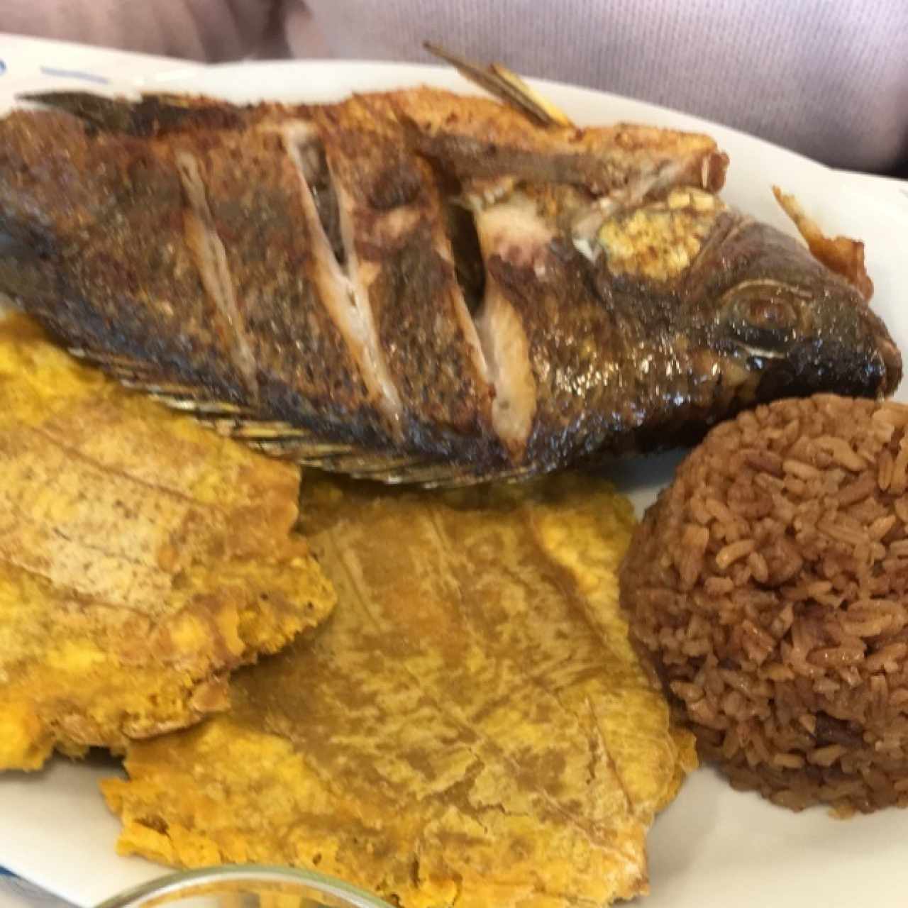 Mojarra Asada - Plato del dia