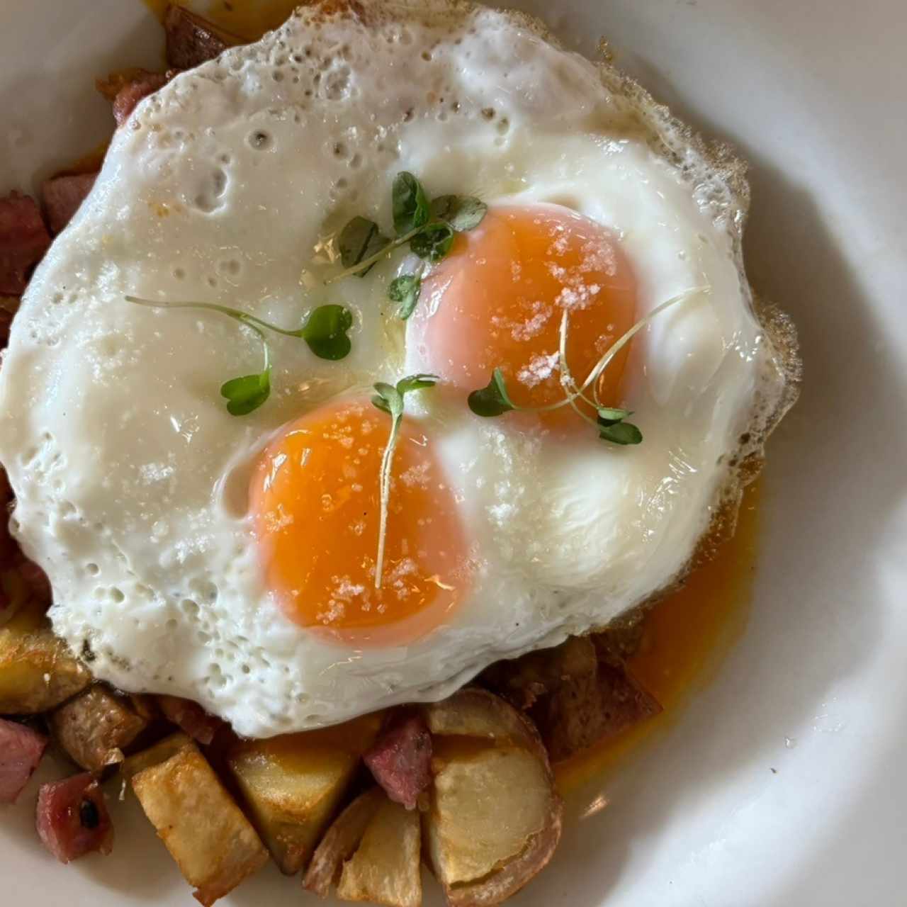 Rancheros